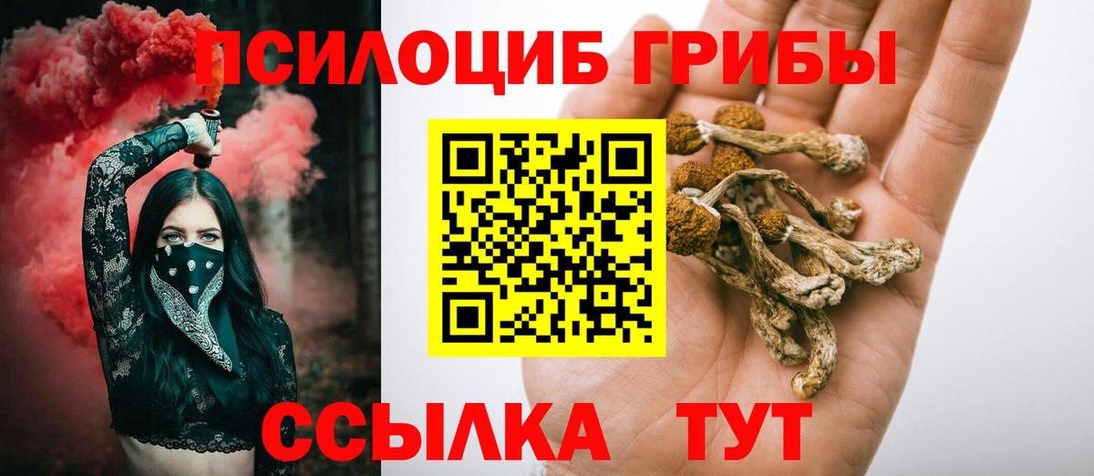 Галлюциногенные грибы мицелий  Вход с VPN  Галлюциногенные грибы Magic Shrooms  Тара 