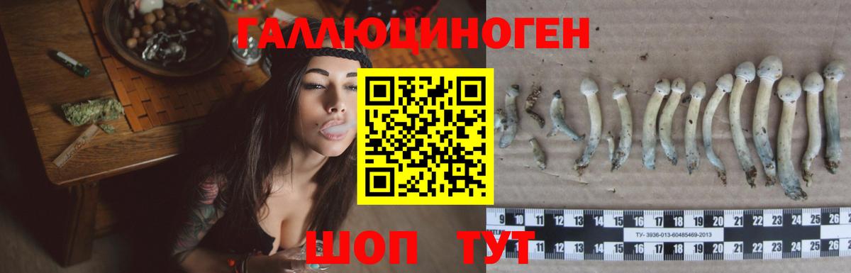 Галлюциногенные грибы GOLDEN TEACHER Тара